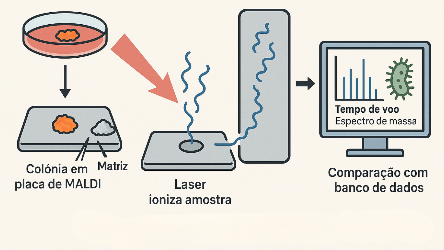 MALDI-TOF: tecnologia avançada que revoluciona a identificação microbiana na microbiologia clínica