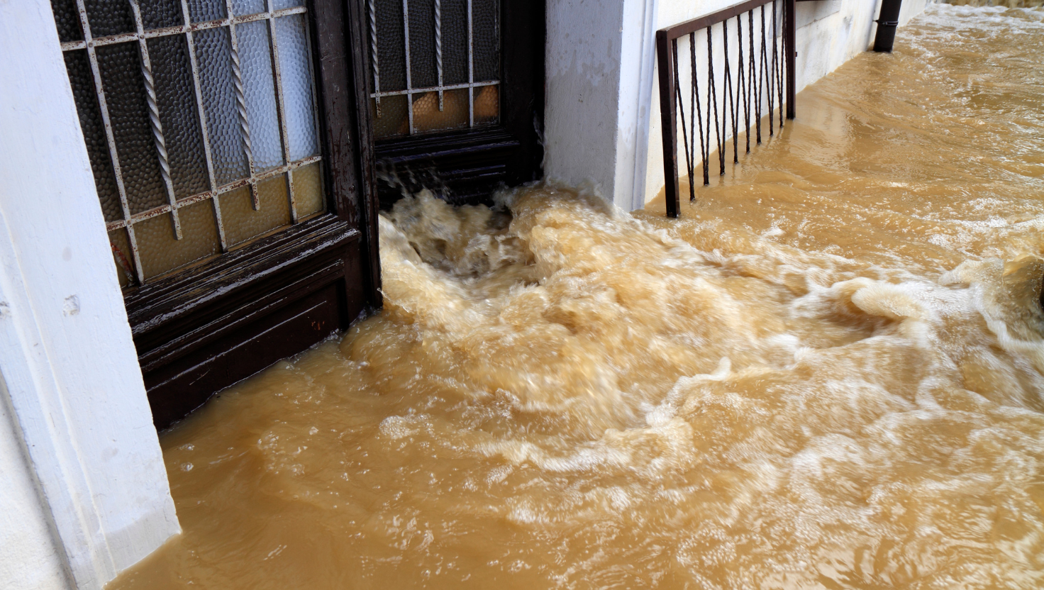 Enchentes e Saúde: Quais Doenças os Alagamentos Podem Trazer para Sua Casa?