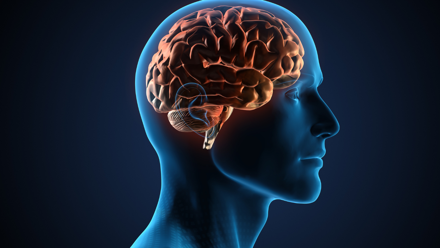 Craniofaringioma: Causas, Sintomas, Diagnóstico e Opções de Tratamento