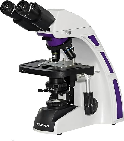 Microscópio Binocular Óptica Finita Acromático LED 2000x, Global Optics, NO216B2, Profissional, utilizado em laboratórios clínicos, veterinários, de ensino e pesquisa
