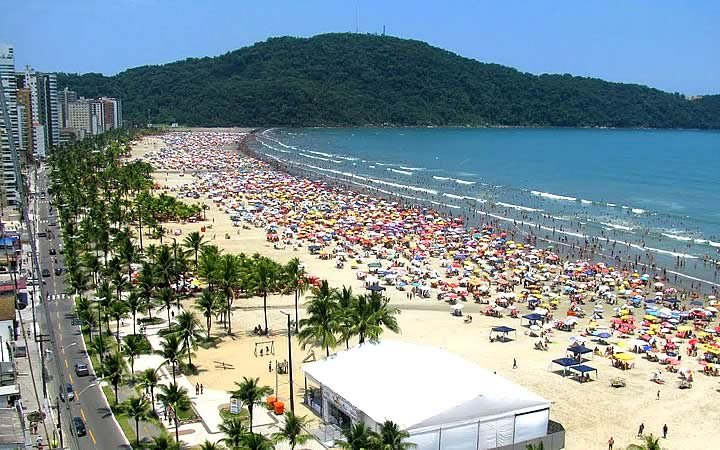 Descubra Agora: Microrganismo Confirmado no Litoral Paulista!