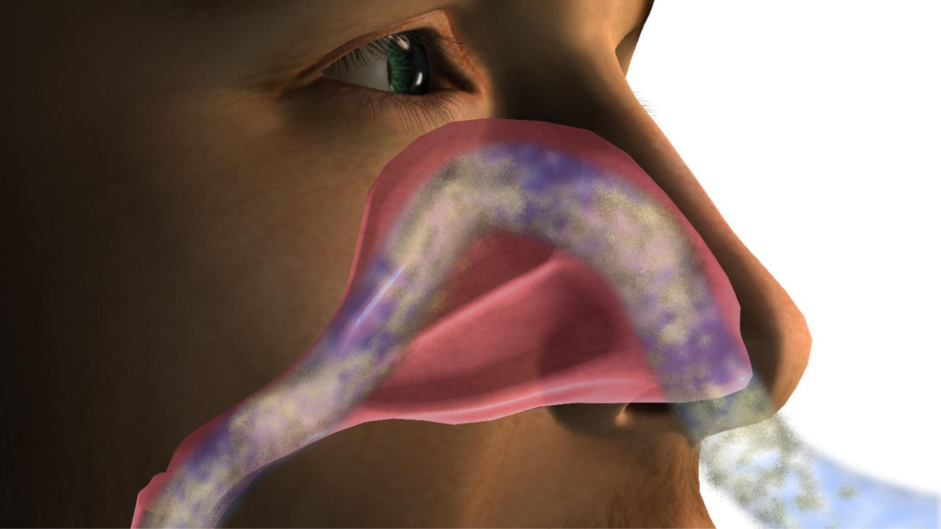 Por que uma narina entope enquanto a outra respira? Entenda o ciclo nasal e sua função no corpo